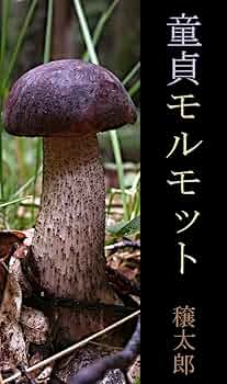 Amazon.co.jp: 童貞モルモット eBook : 穣太郎: Kindleストア